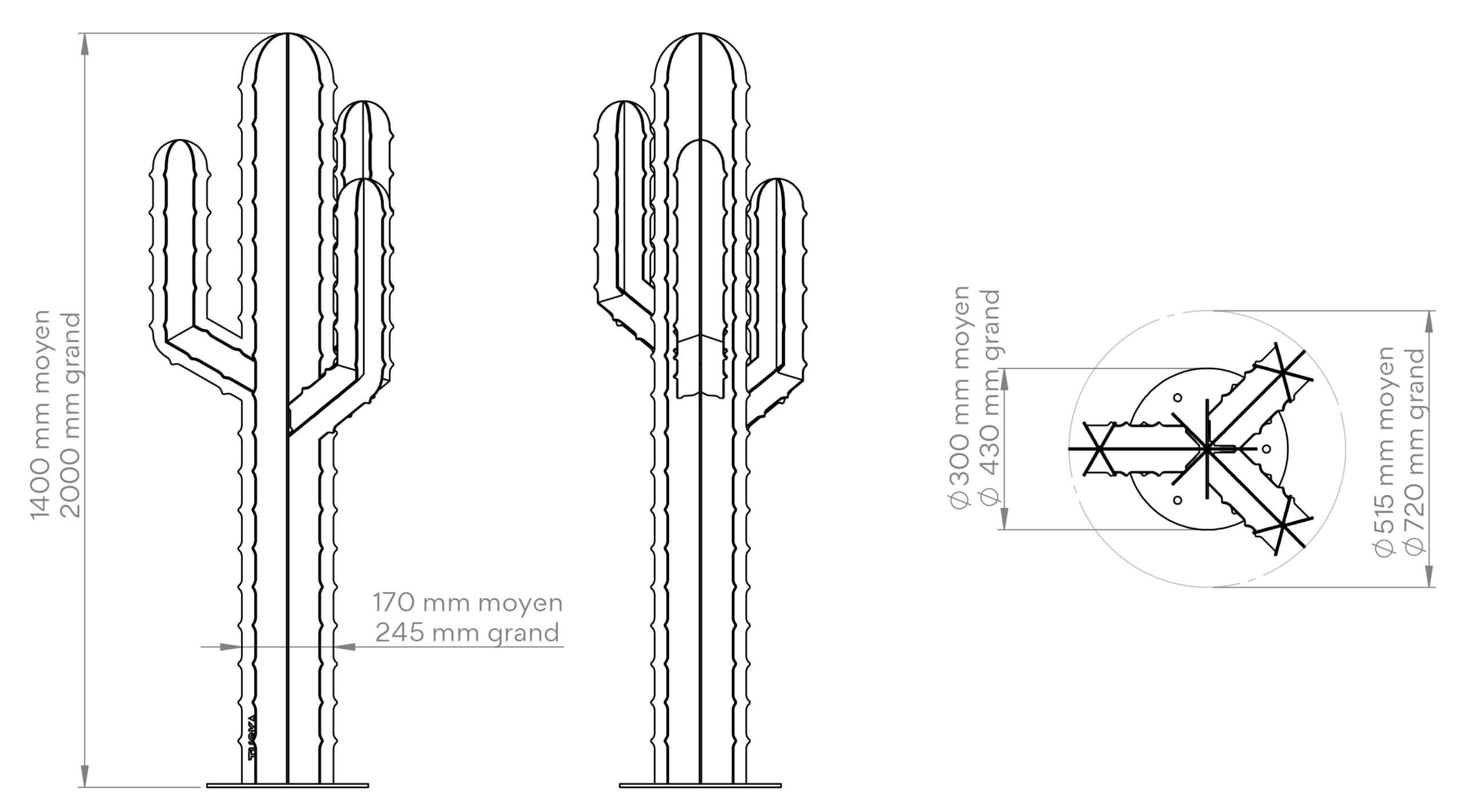 tuska_schema_cactus_3branches